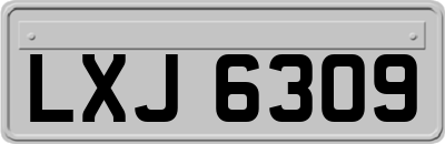 LXJ6309