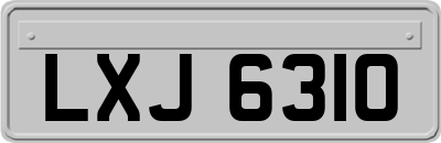 LXJ6310