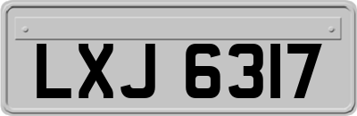 LXJ6317