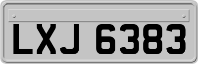 LXJ6383