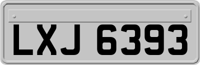 LXJ6393