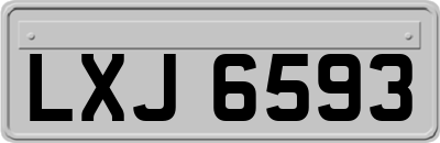 LXJ6593