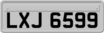 LXJ6599