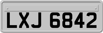 LXJ6842