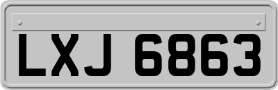 LXJ6863