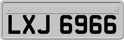 LXJ6966