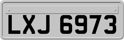 LXJ6973
