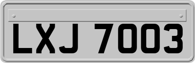 LXJ7003