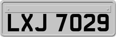 LXJ7029