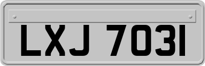 LXJ7031