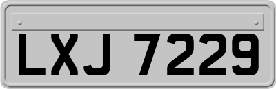 LXJ7229