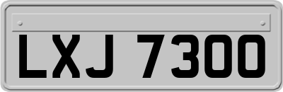 LXJ7300