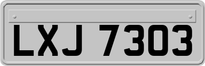LXJ7303