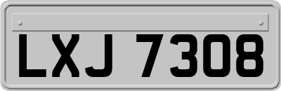 LXJ7308