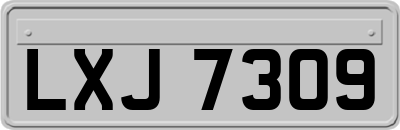 LXJ7309