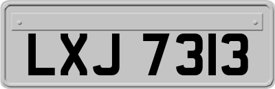 LXJ7313