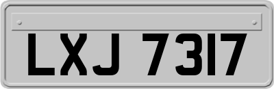 LXJ7317