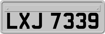 LXJ7339