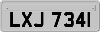 LXJ7341