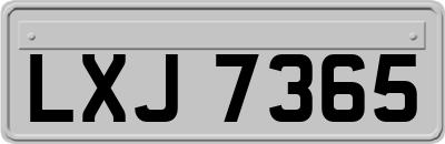 LXJ7365
