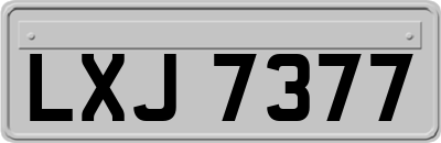 LXJ7377