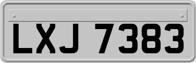 LXJ7383