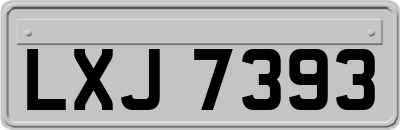 LXJ7393