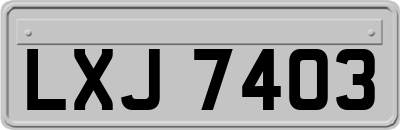 LXJ7403