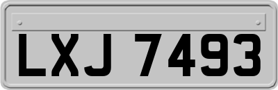 LXJ7493