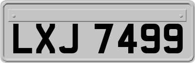 LXJ7499