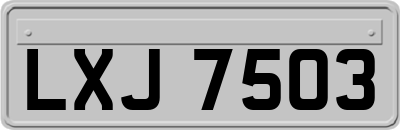 LXJ7503