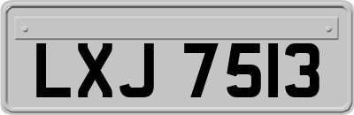 LXJ7513