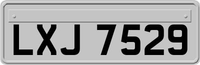 LXJ7529