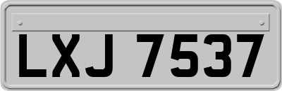 LXJ7537