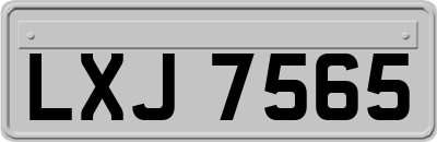 LXJ7565