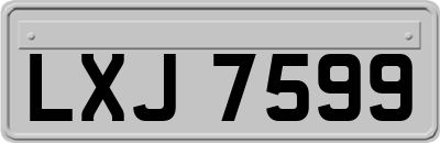 LXJ7599