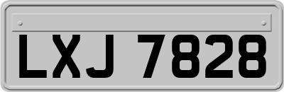 LXJ7828