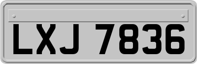 LXJ7836