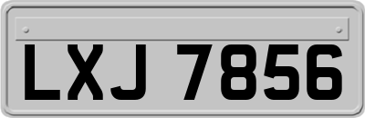 LXJ7856