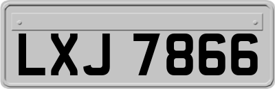 LXJ7866