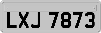 LXJ7873