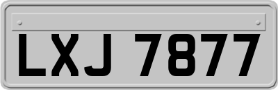 LXJ7877