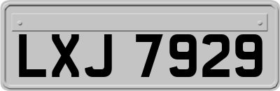 LXJ7929