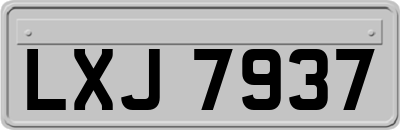 LXJ7937