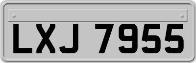 LXJ7955