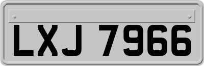 LXJ7966