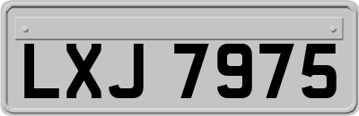 LXJ7975
