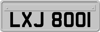 LXJ8001