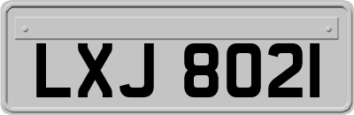LXJ8021