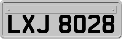 LXJ8028